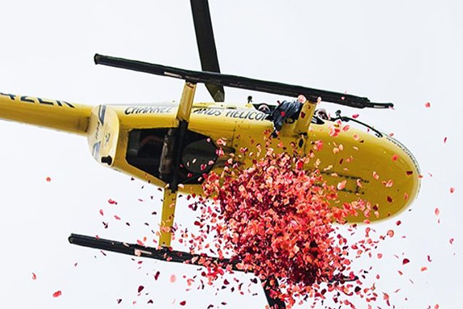 Дождь из 100 килограммов роз