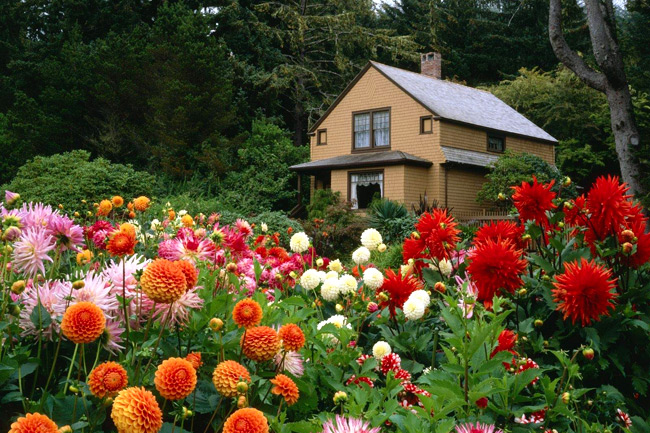 Портрет из цветов