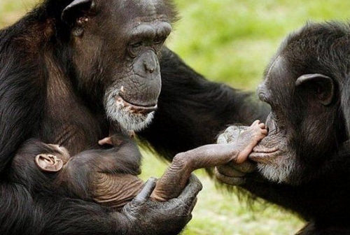 Она любит тебя со всеми твоими «тараканами»