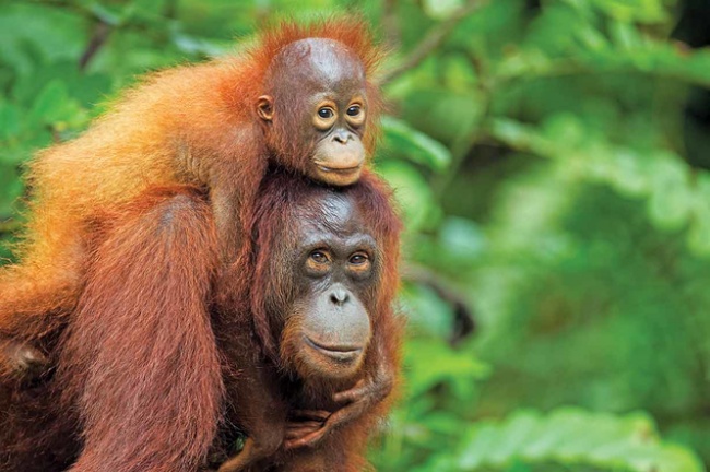 А иногда — просто обнять ее без лишних слов