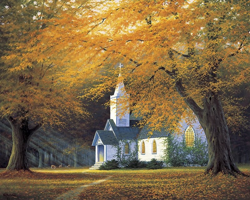 Чарующая природа Чарльза Уайта