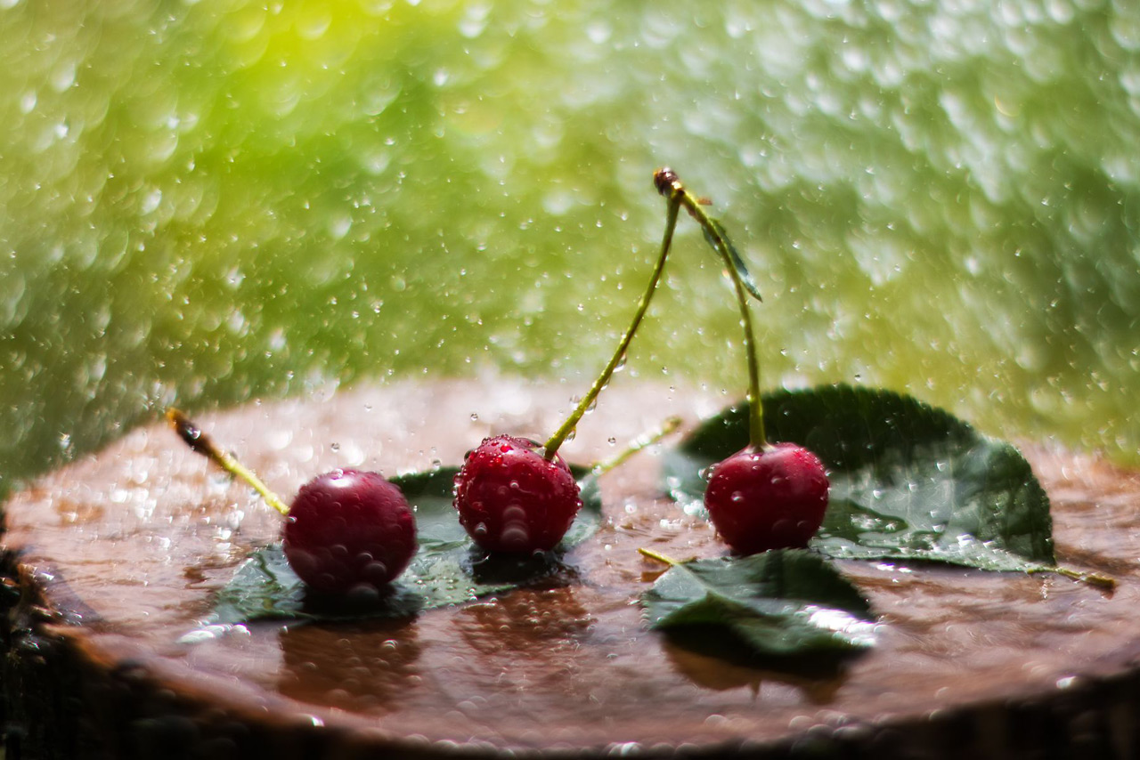 Короткие рассказы про дождь