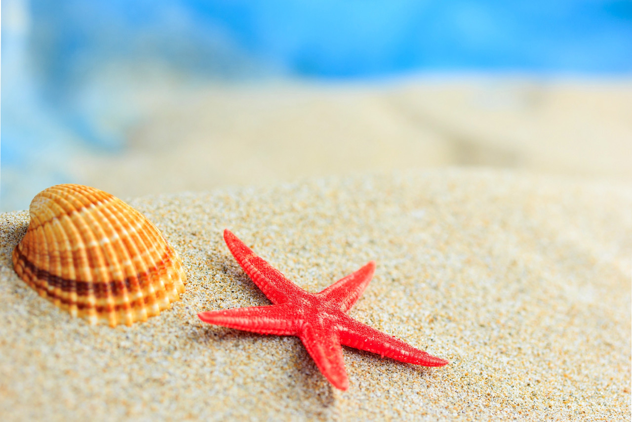 Приметы про морскую звезду