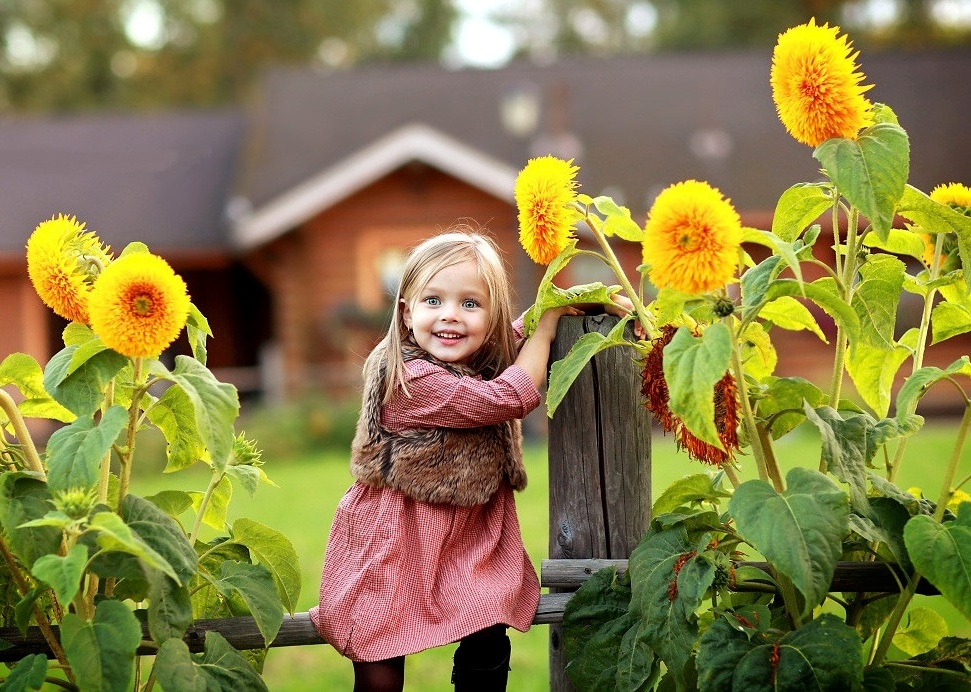Мне опять померещилось детство