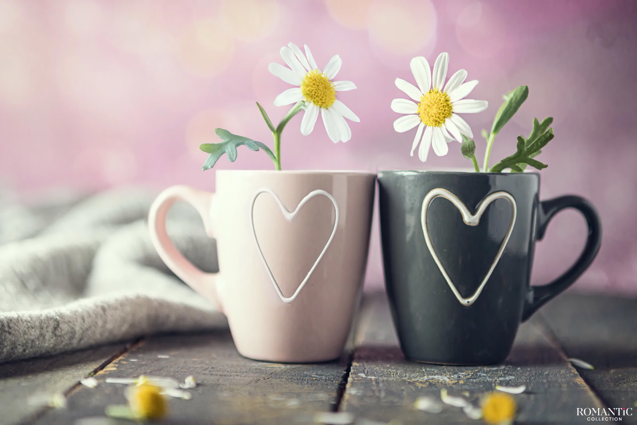 9 лет – Фаянсовая (Ромашковая) свадьба