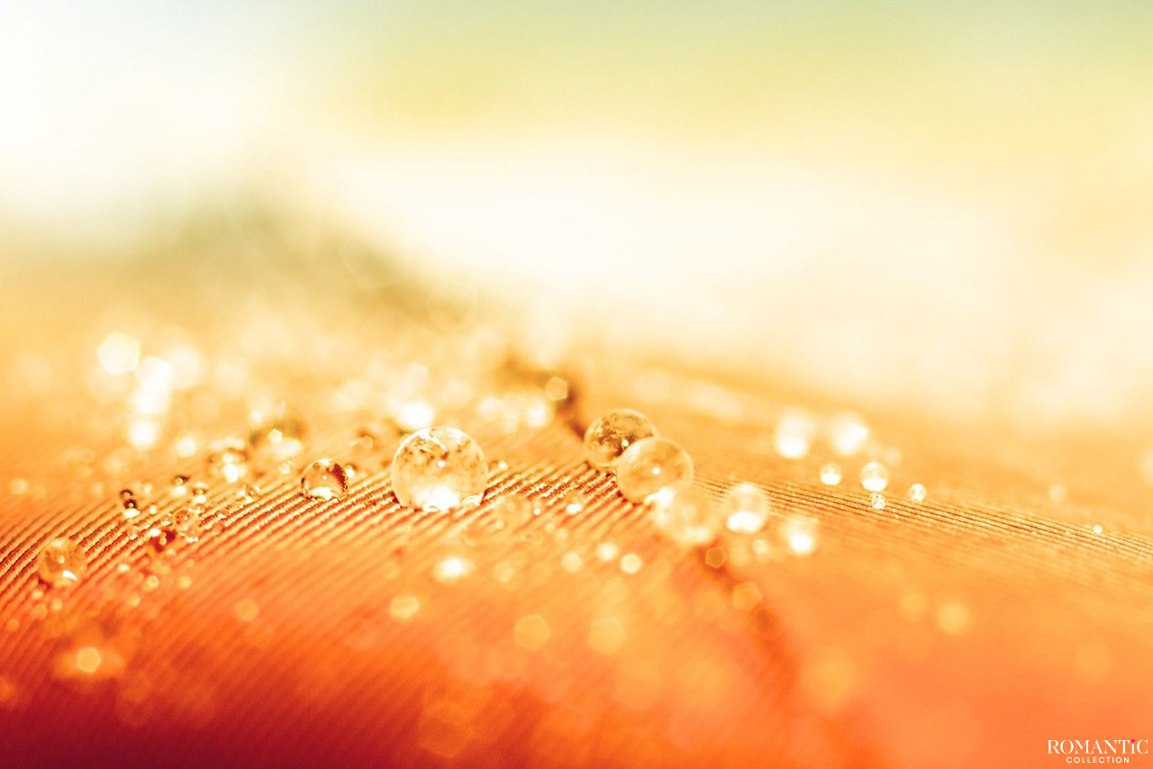 31 год – Солнечная свадьба