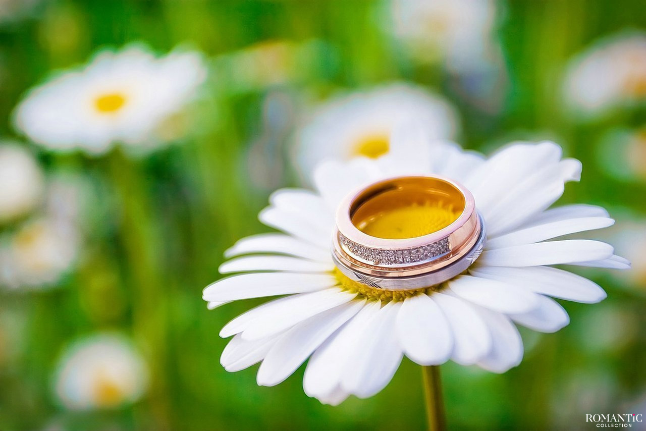 68 лет – Ромашковая свадьба