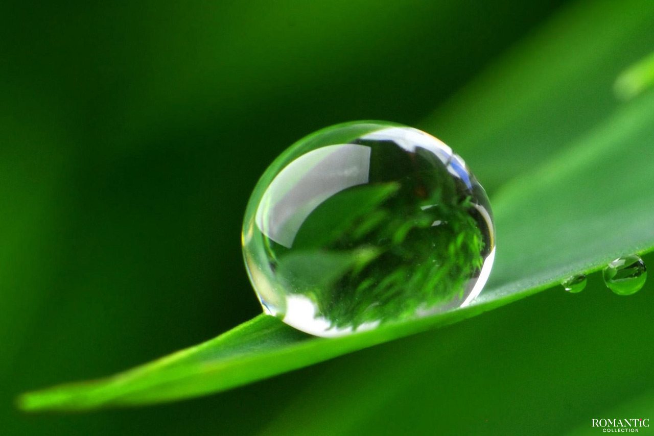 Зеленый цвет что означает