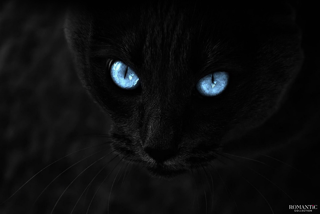 Черный цвет что означает