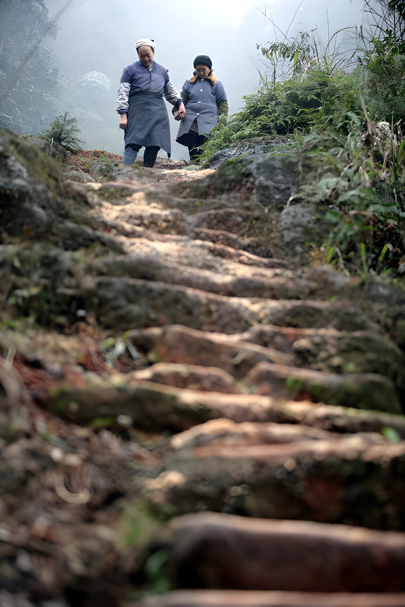 6000 ступеней любви