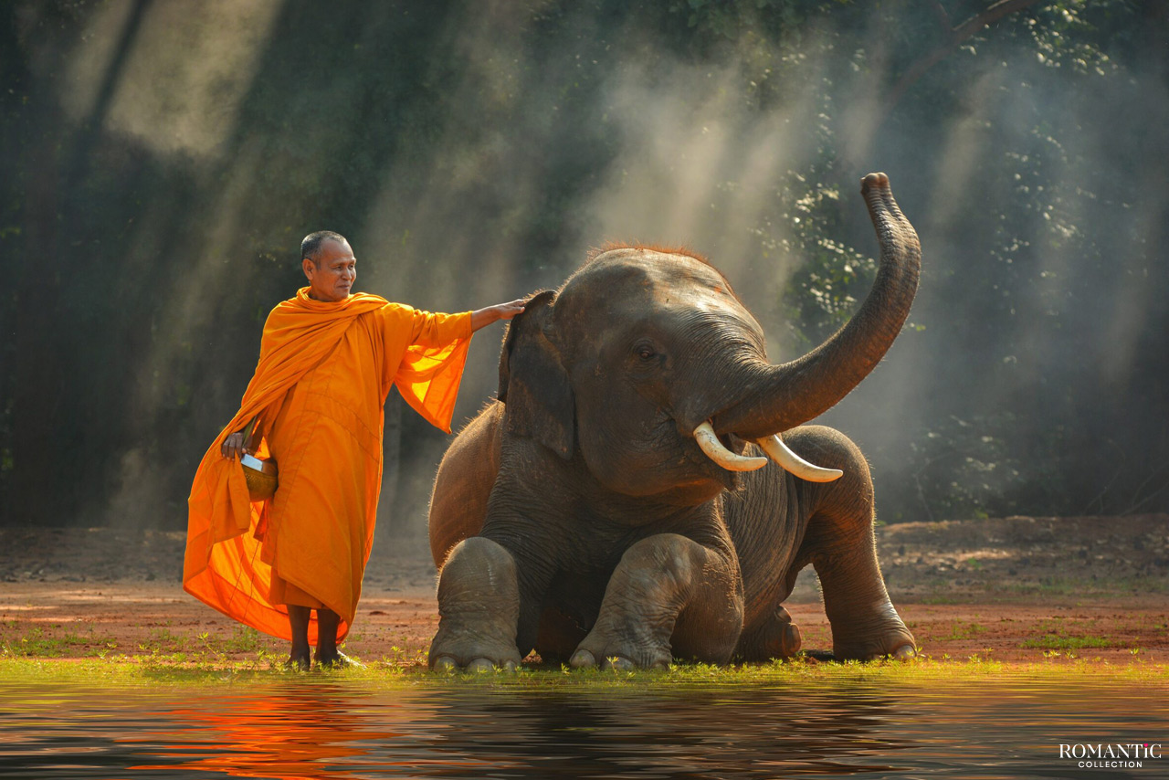 Как называют влюбленных в разных странах: 11 необычных прозвищ