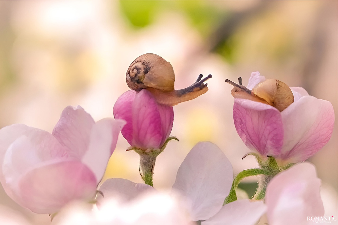 Секреты счастливых отношений