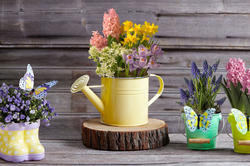 Роскошь живых цветов