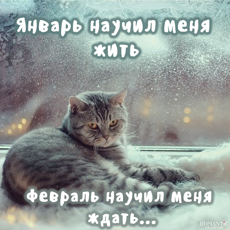 Грустные фразы про январь