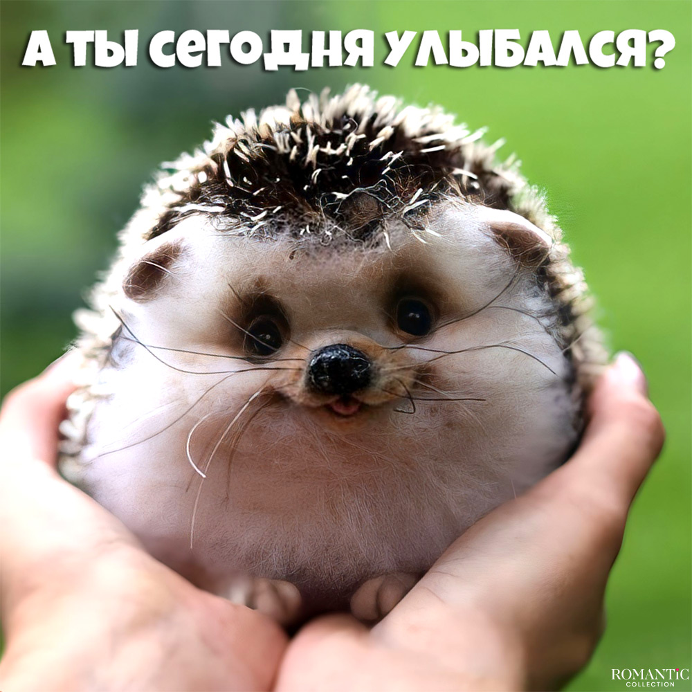 Смешные фразы про улыбку