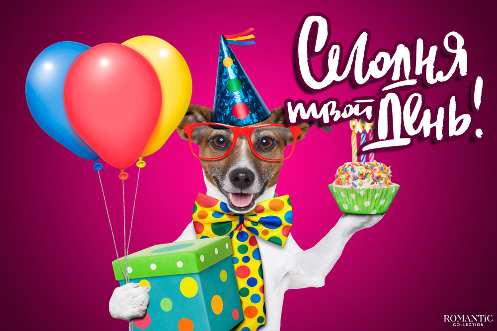 Прикольные поздравления с Днем рождения