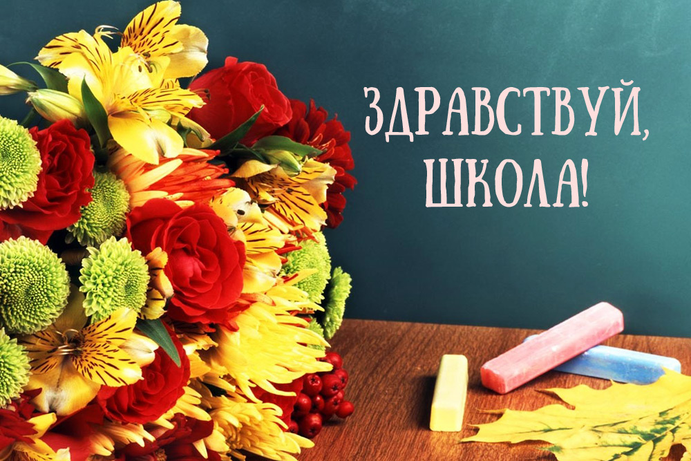 Классные статусы и фразы на 1 сентября День знаний