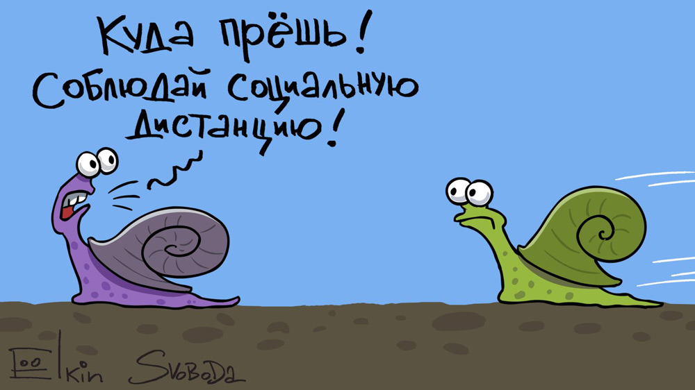 Анекдоты про коронавирус и любовь