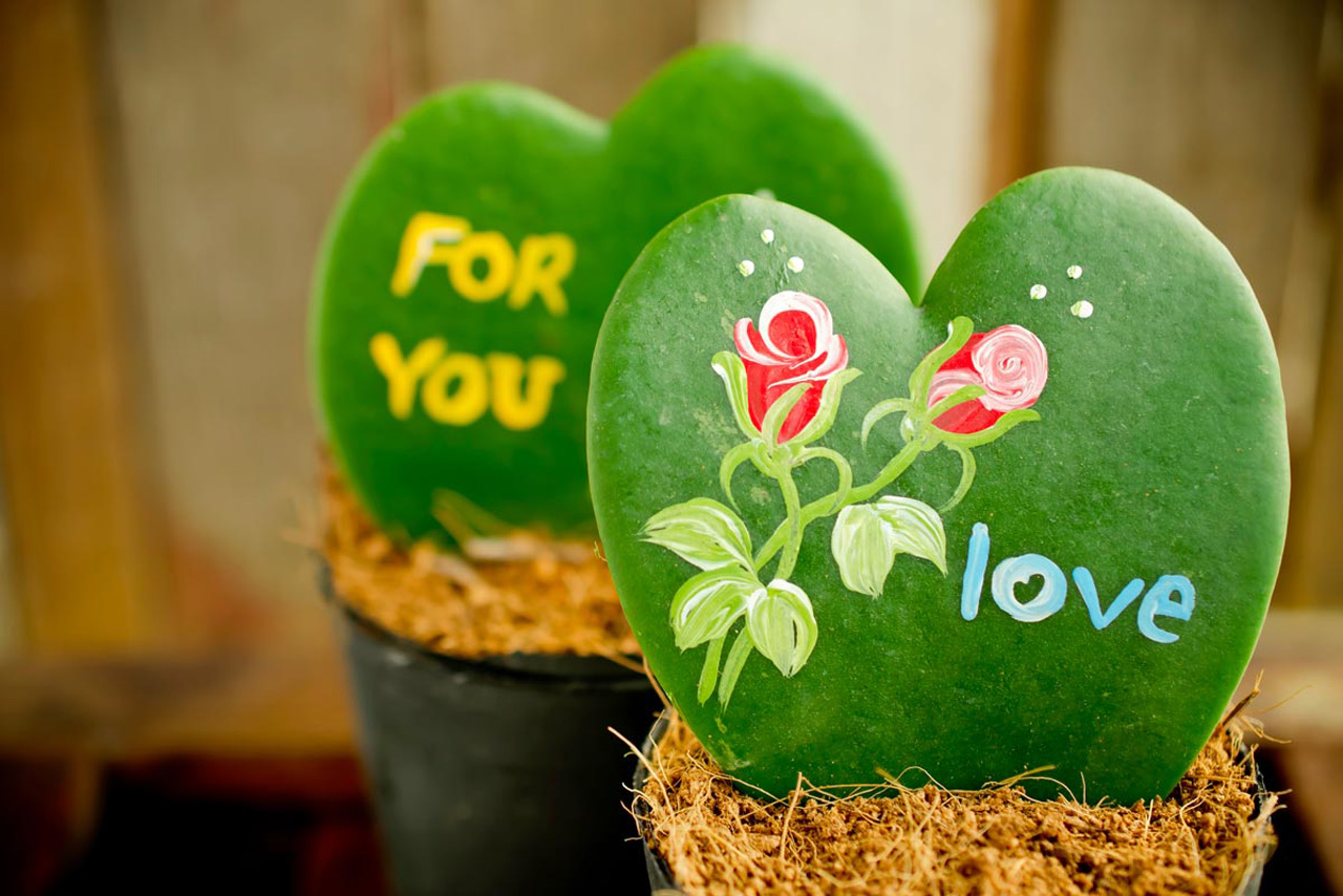 Сердце хойи бьется только для тебя