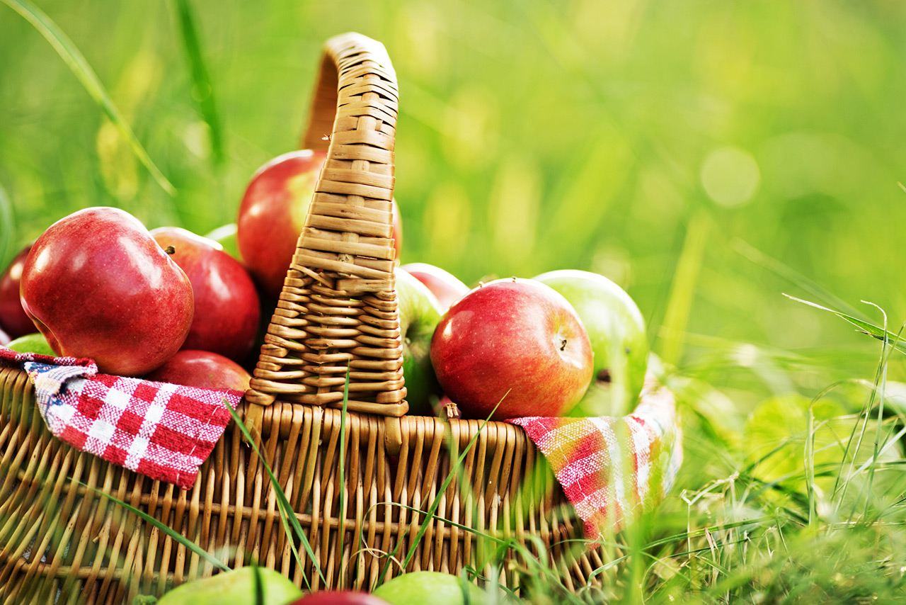 Август – венец лета