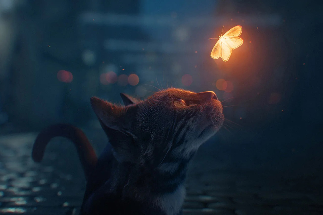 Кошки и приметы про дорогу