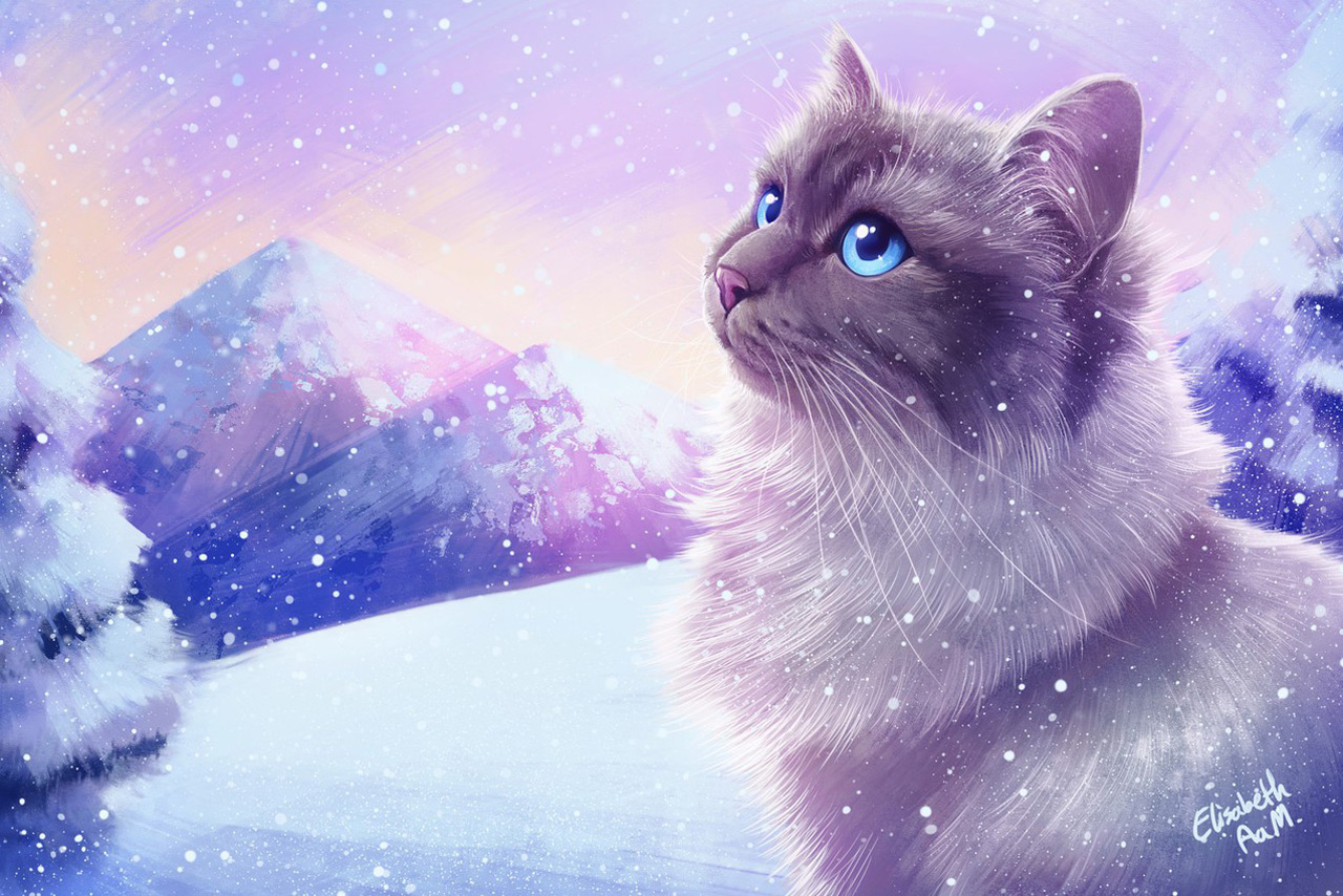 Суеверия о кошках в разных странах