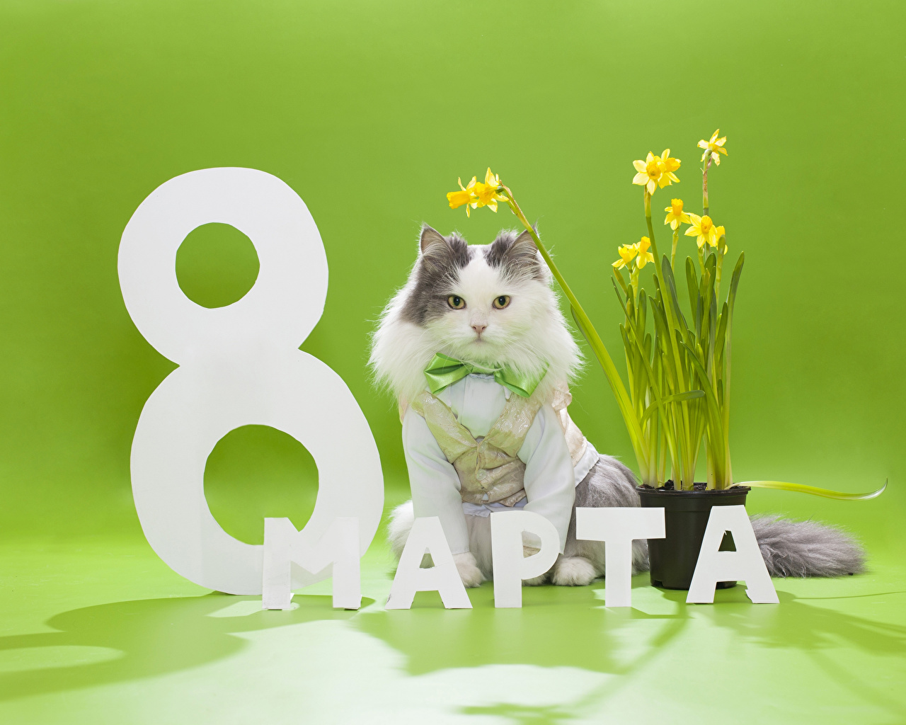 Прикольные подарки