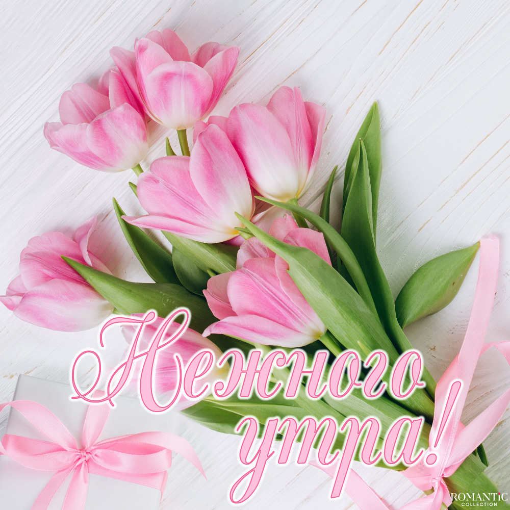 Романтичные пожелания доброго утра