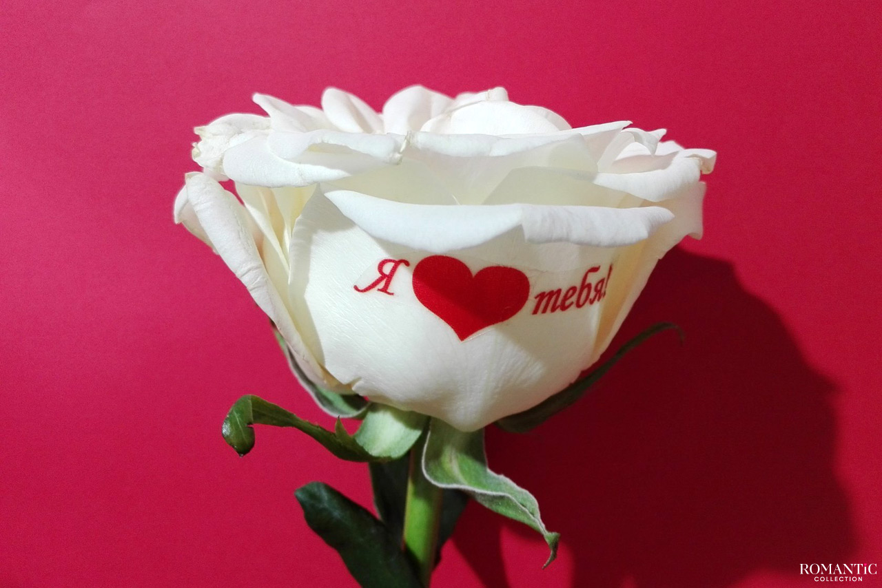 Мастер-класс по созданию надписи на цветке