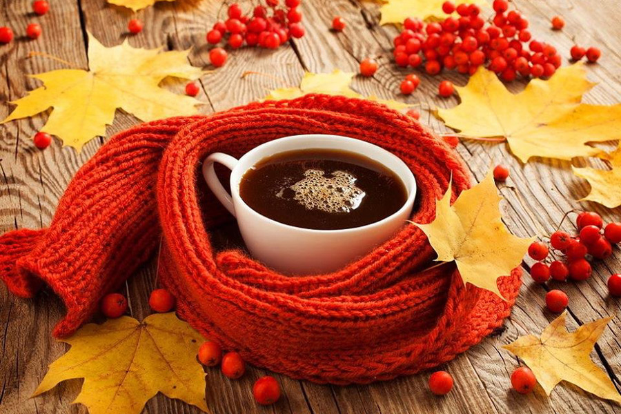 Найти идеальный рецепт имбирного чая