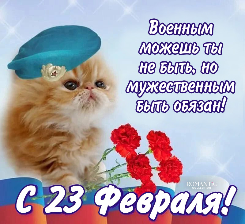 Прикольные поздравления на 23 Февраля