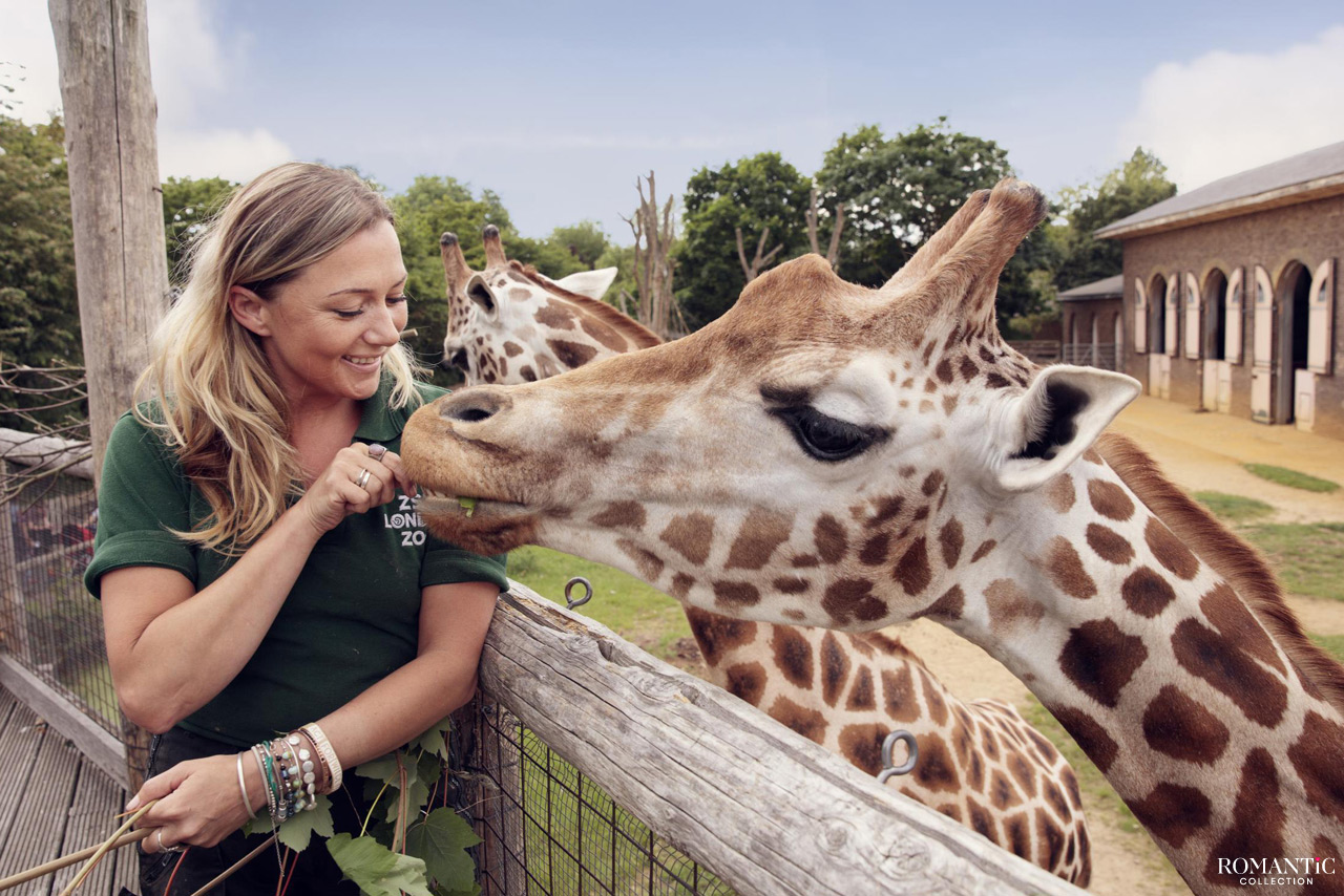 Советы по прогулке в зоопарке вдвоем