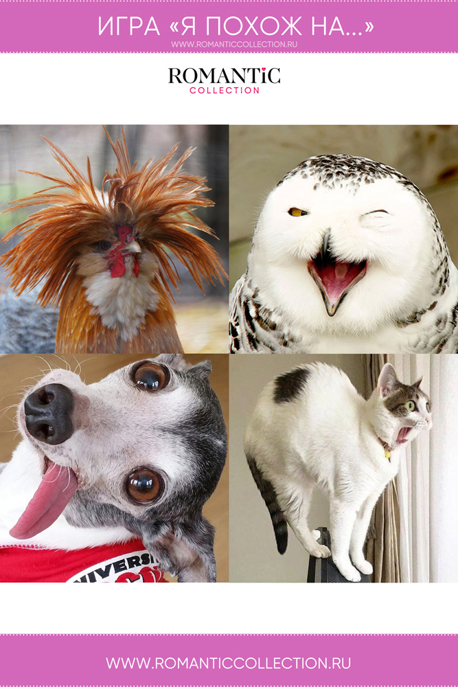 Игра Я похож на...