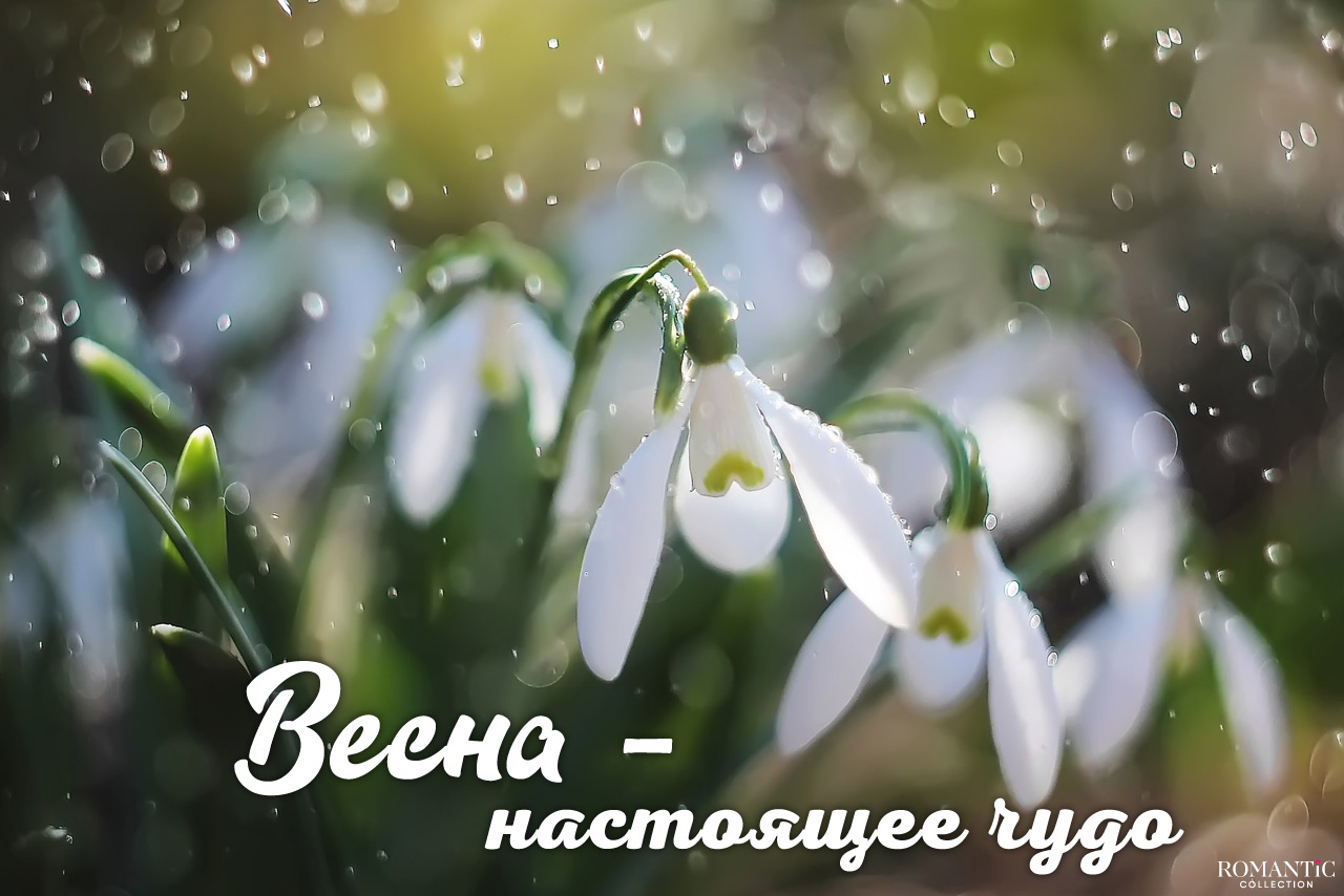 Красивые статусы и цитаты о весне