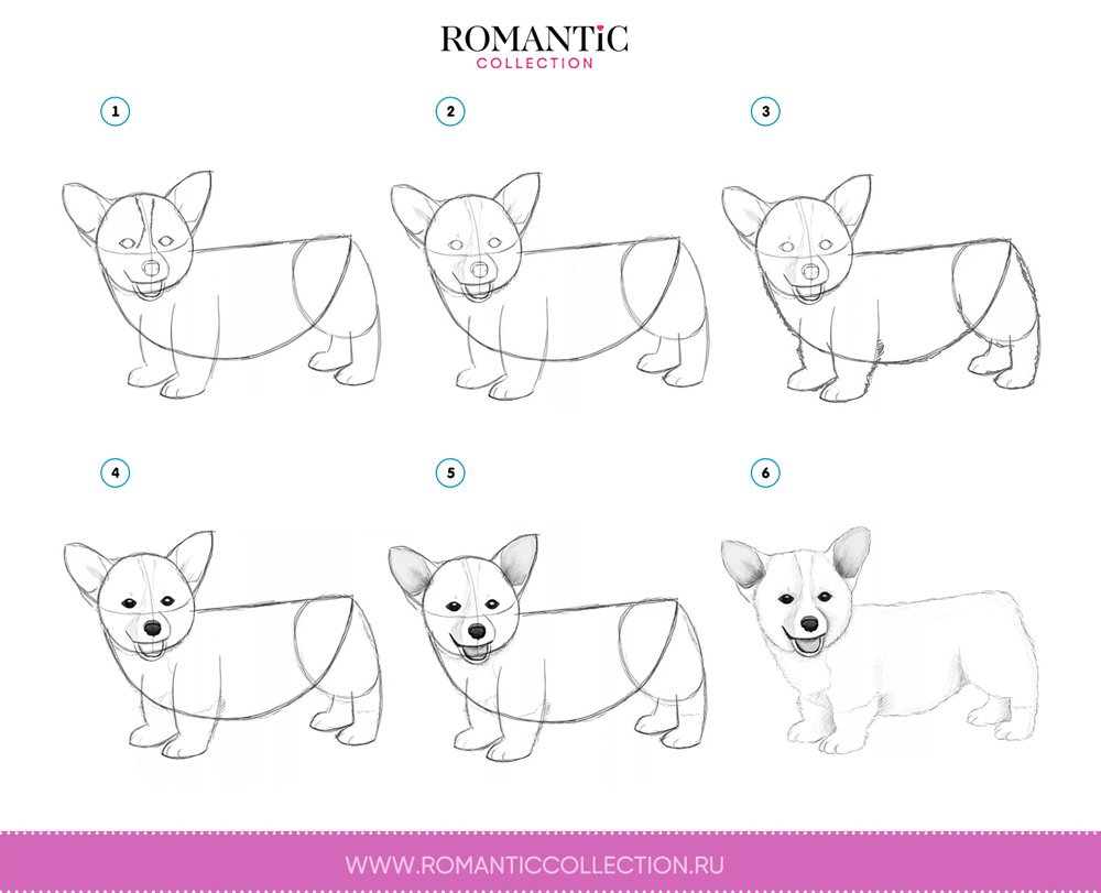 Как нарисовать собаку