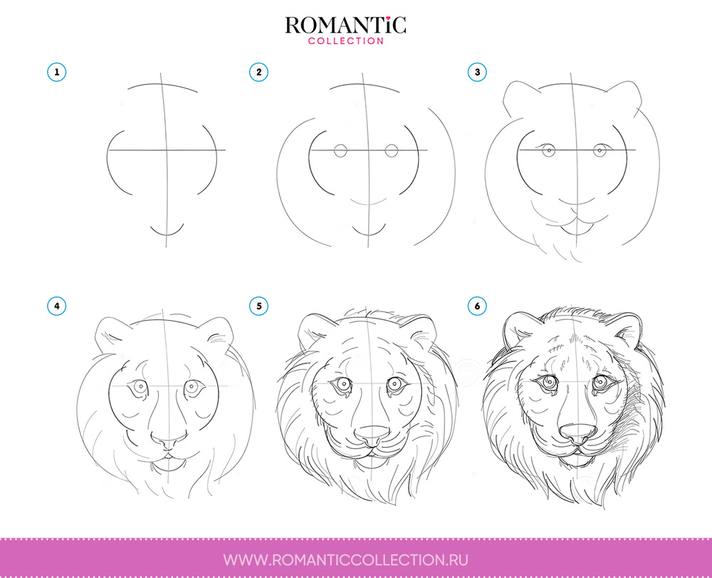 Как нарисовать льва