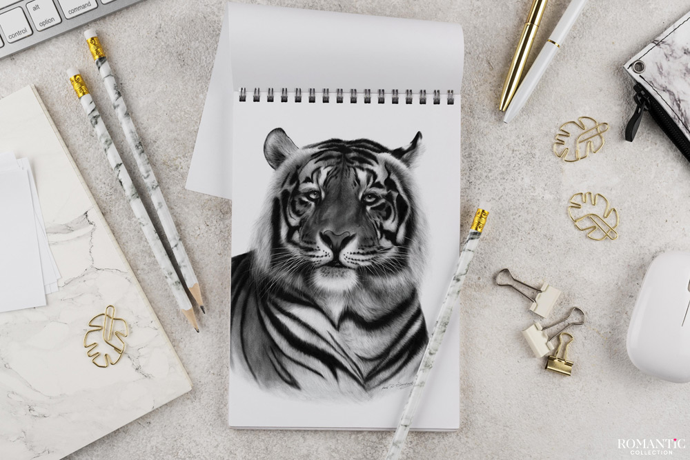 Что необходимо для рисования?