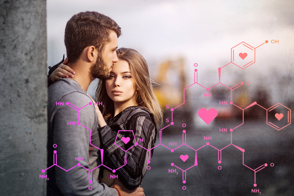 Мозг влюблённой женщины