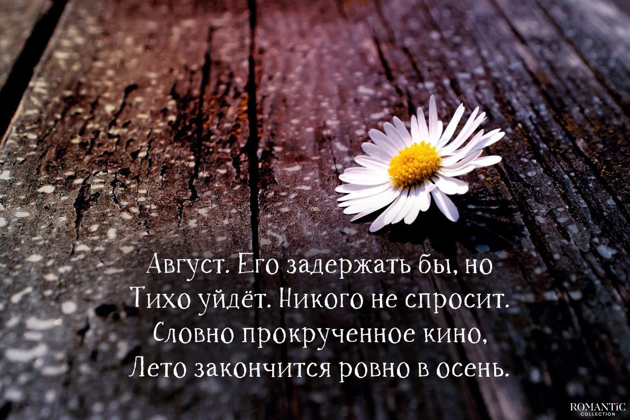 Лето – очень маленькая жизнь