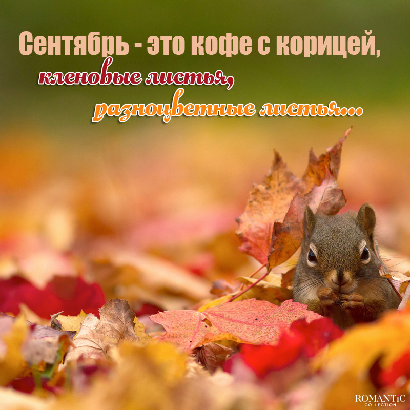 Статусы про сентябрь в стихах