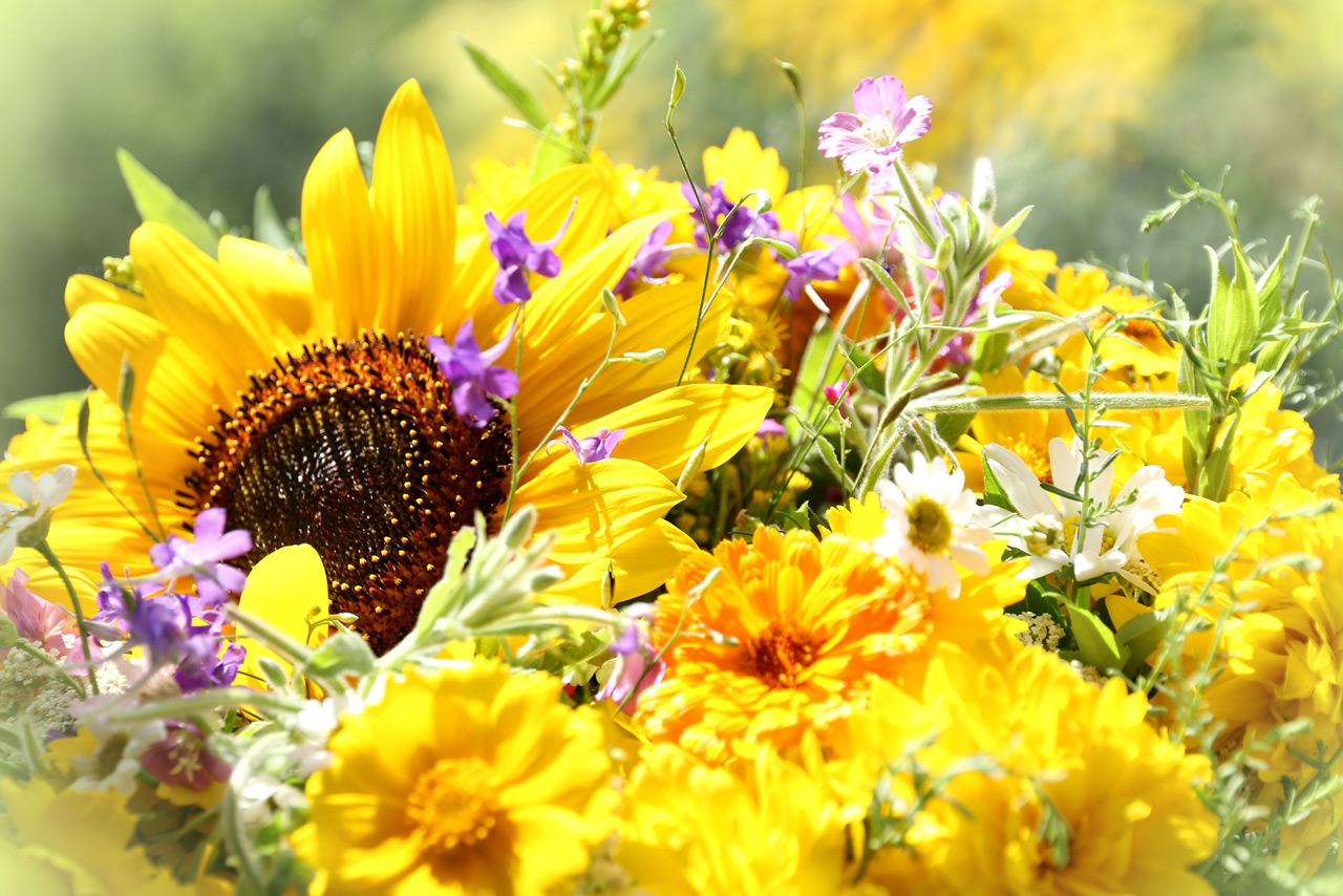 Стихи про август известных поэтов