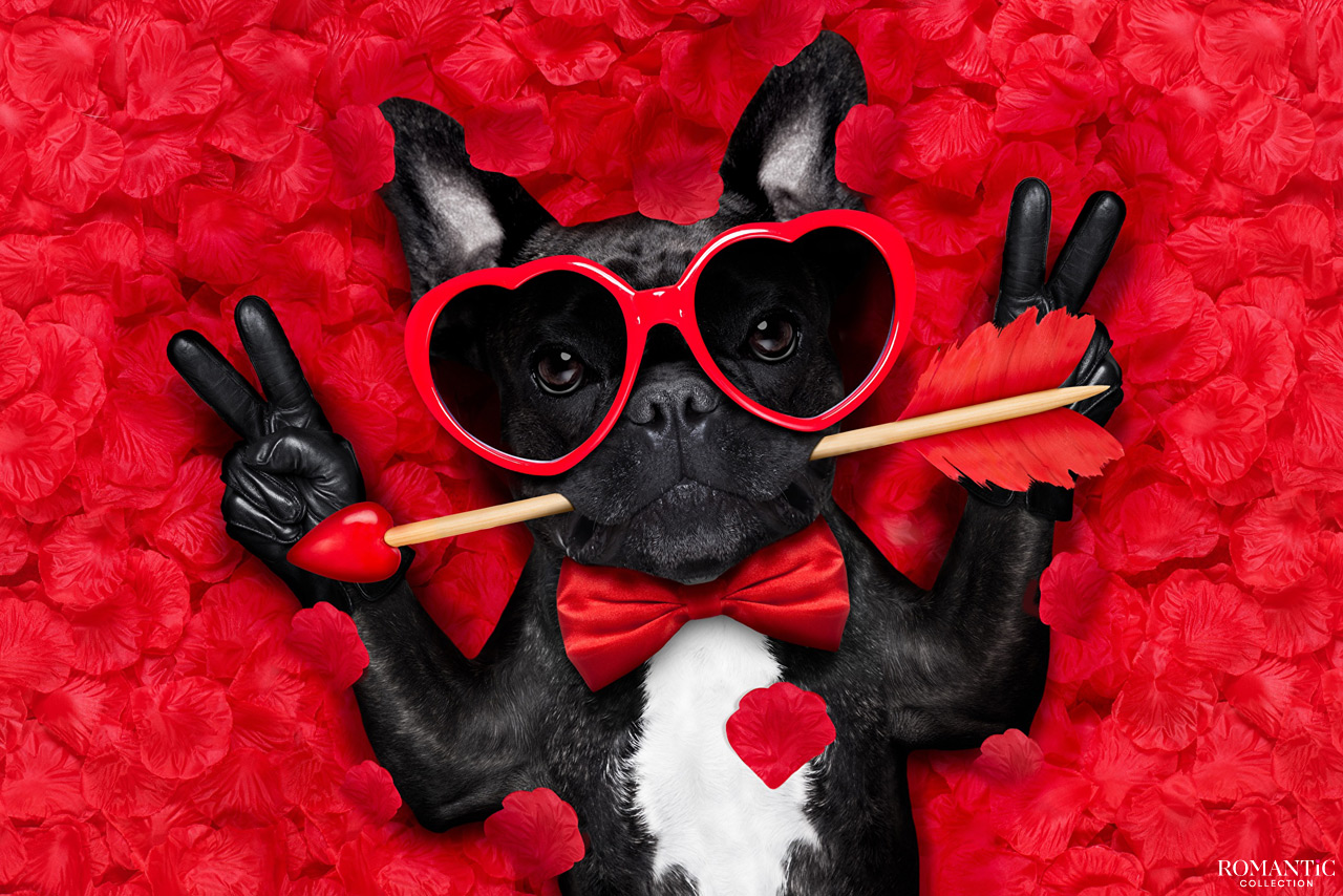 Игры на студенческой вечеринке в День святого Валентина