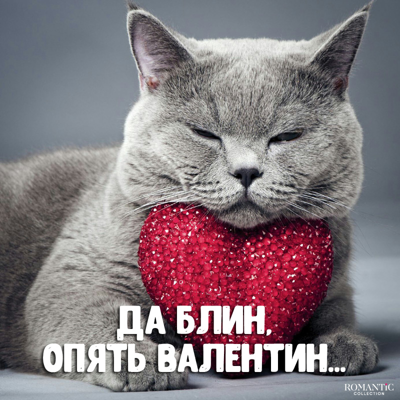 Цитаты и статусы для социальных сетей на 14 февраля