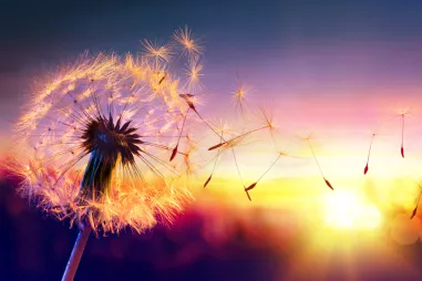 Любовь — естественна, как дыхание