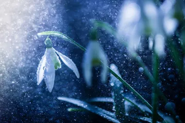 16 признаков здоровых отношений