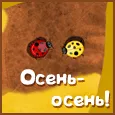 Я люблю тебя, осень-осень!