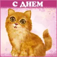 Котёнок, с Днем рождения!