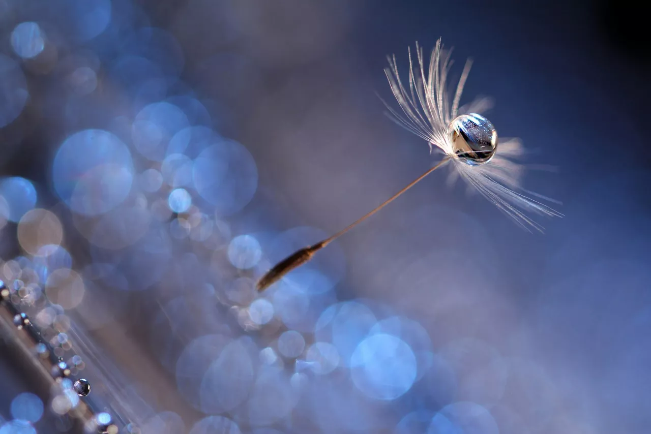 Любовь во всём