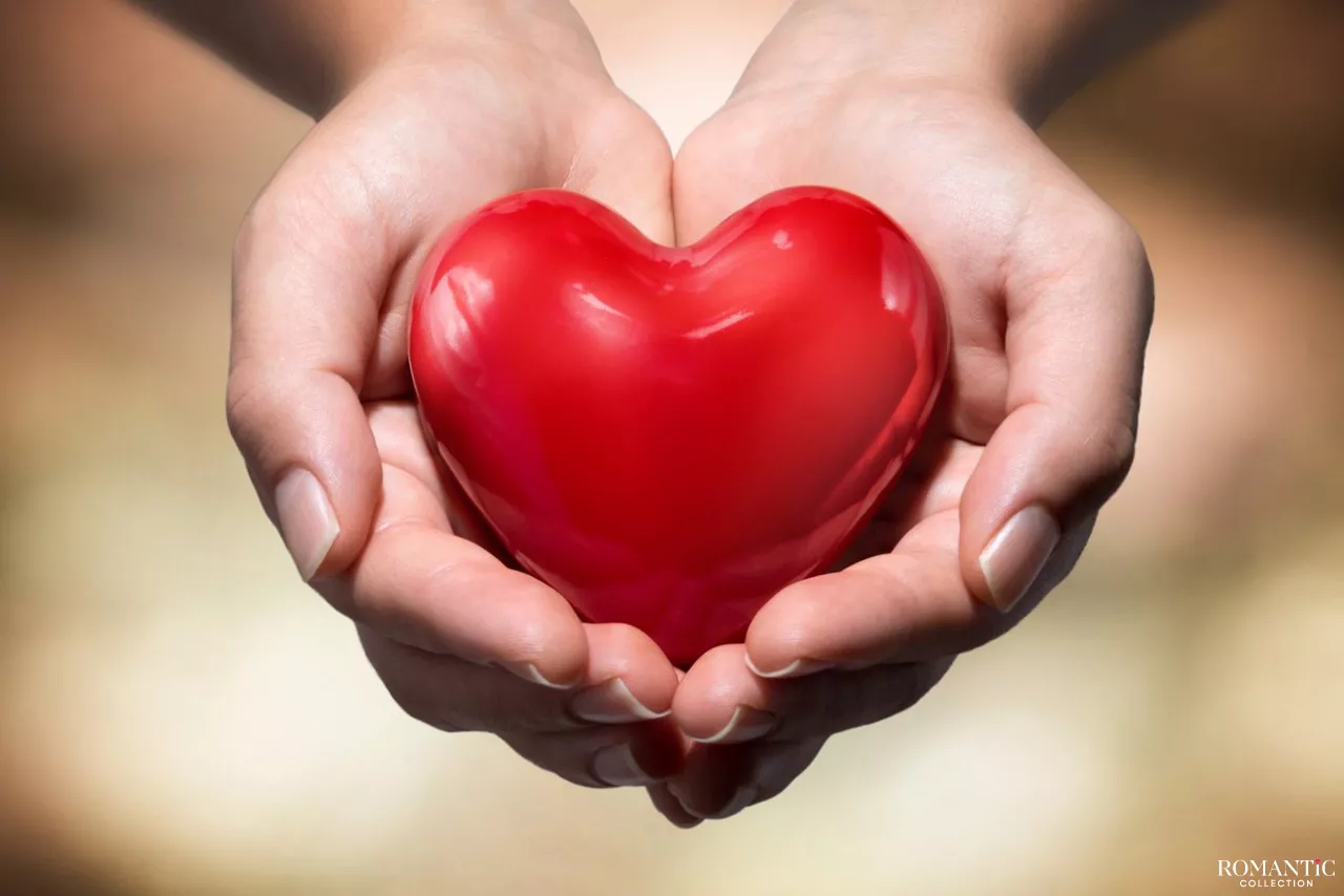 Магазин Чувств