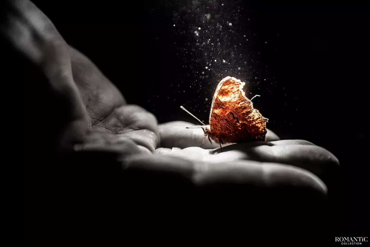 Мотылек и камушек